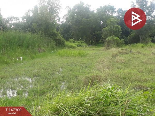 Land for sale, area 87 sq m, at Yuwittaya Soi 11, Nong Chok, Bangkok.