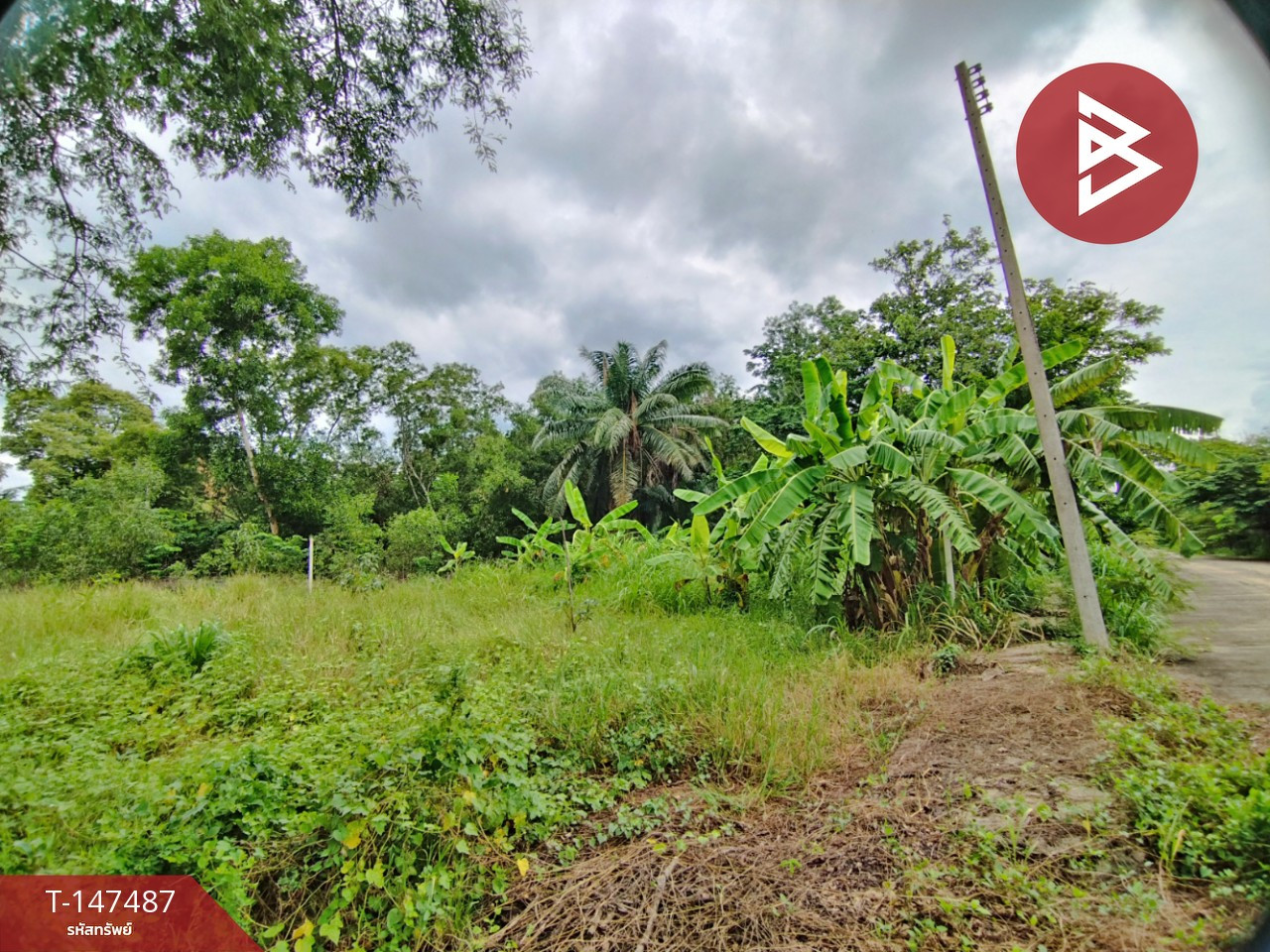 ขายที่ดิน เนื้อที่ 62.5 ตร.วา หนองเสือ ปทุมธานี – รูปที่ 2