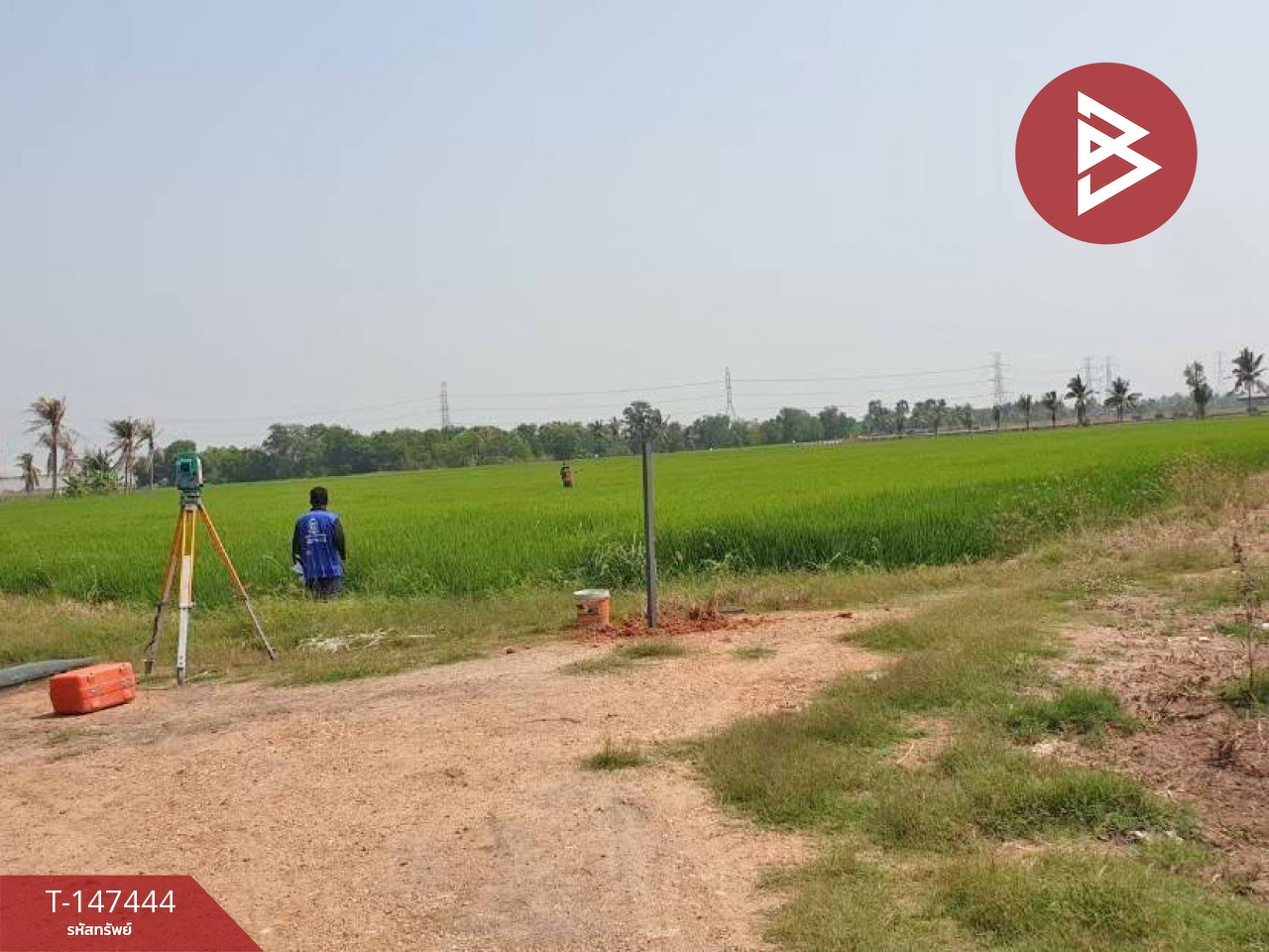 ขายที่ดิน เนื้อที่ 2 งาน 61 ตร.วา หนองจอก กรุงเทพมหานคร – รูปที่ 3