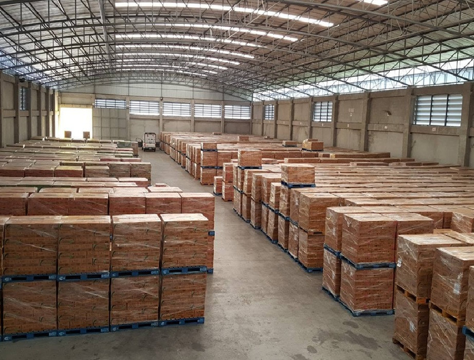 For Rent: Warehouse / factory with office for rent / location Lam Luk Ka, Khlong 10 / usable area 5000 square meters / 40 foot trailer can enter and exit. – รูปที่ 2