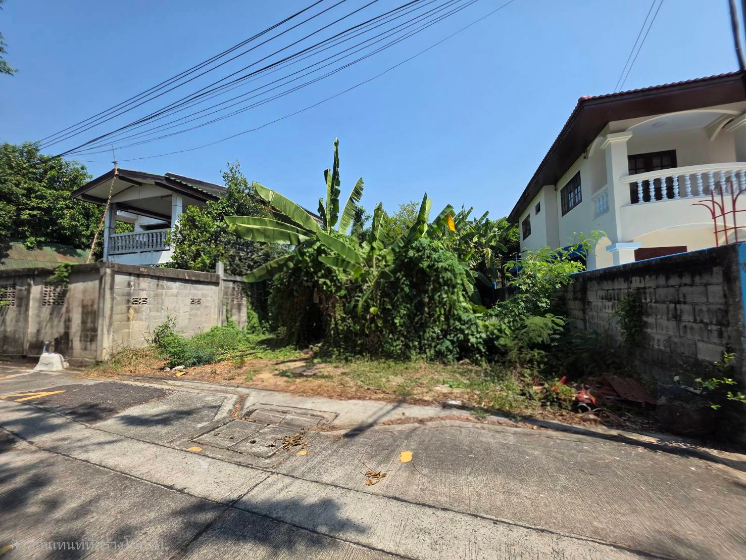 ขาย ที่ดิน ตลิ่งชัน  ซอยอัศวพิเชษฐ์     พุทธมณฑลสาย1   ทำเลดี เดินทางสะดวก ใกล้ทางคู่ขนาน บรมราชชนนี  เข้าออกได้หลายทาง – รูปที่ 2