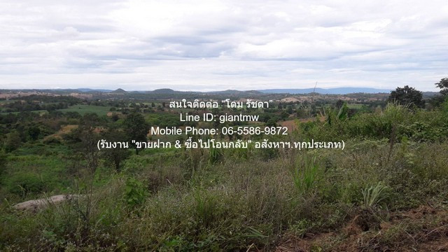 DSL-1246 Land for sale on a hill 10-1-5 rai (soft certificate: S.P.K./S.R. 5 K) Wang Nam Khiao, Nakhon Ratchasima, price 4,500,000 baht (free transfer) DSL-1246 Land for sale on a hill 10-1-5 rai (soft certificate: S.P.K./S.R. 5 K) Wang Nam Khiao, Nakhon Ratchasima, price 4,500,000 baht (free transfer)
