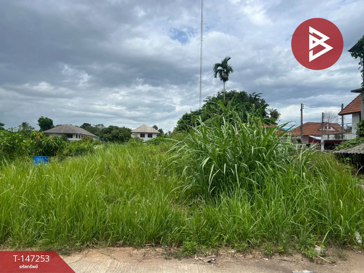 ขายที่ดิน เนื้อที่ 45.3 ตร.วา โพธิ์เสด็จ นครศรีธรรมราช – รูปที่ 3