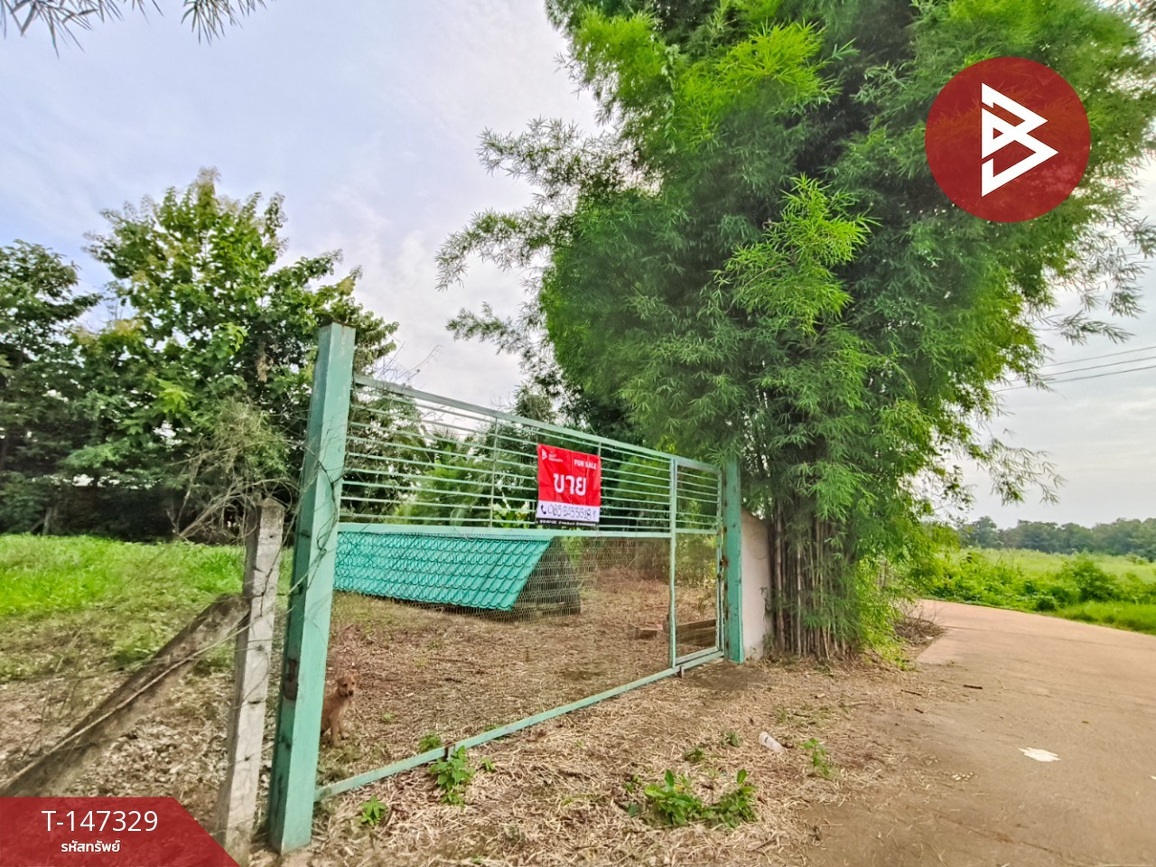 Empty land for sale, area 116.7 square meters, Tha Kasem, Sa Kaeo – รูปที่ 2