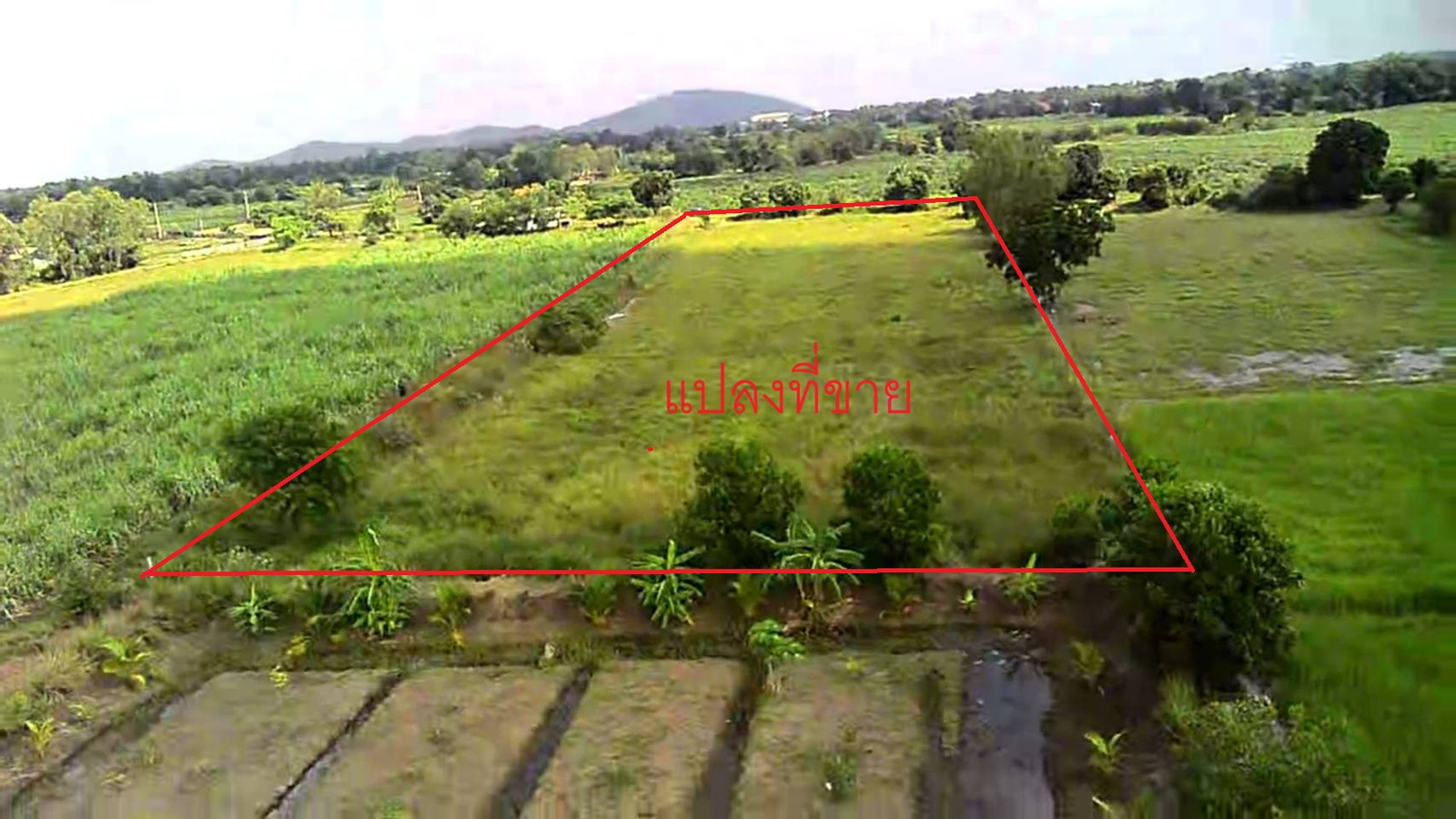 Land, Hua Na Subdistrict, Doem Bang Nang Buat District, Suphan Buri Province, suitable for a residence or various farms and agriculture. Land, Hua Na Subdistrict, Doem Bang Nang Buat District, Suphan Buri Province, suitable for a residence or various farms and agriculture.