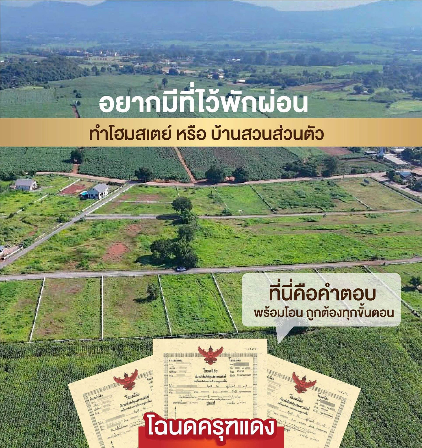 ที่ดินเขาใหญ่ตารางวาละ 8000 บาท  โครงการแกรนด์แลนด์มาร์ก ใกล้สนามกอล์ฟมายโอโซน – รูปที่ 3