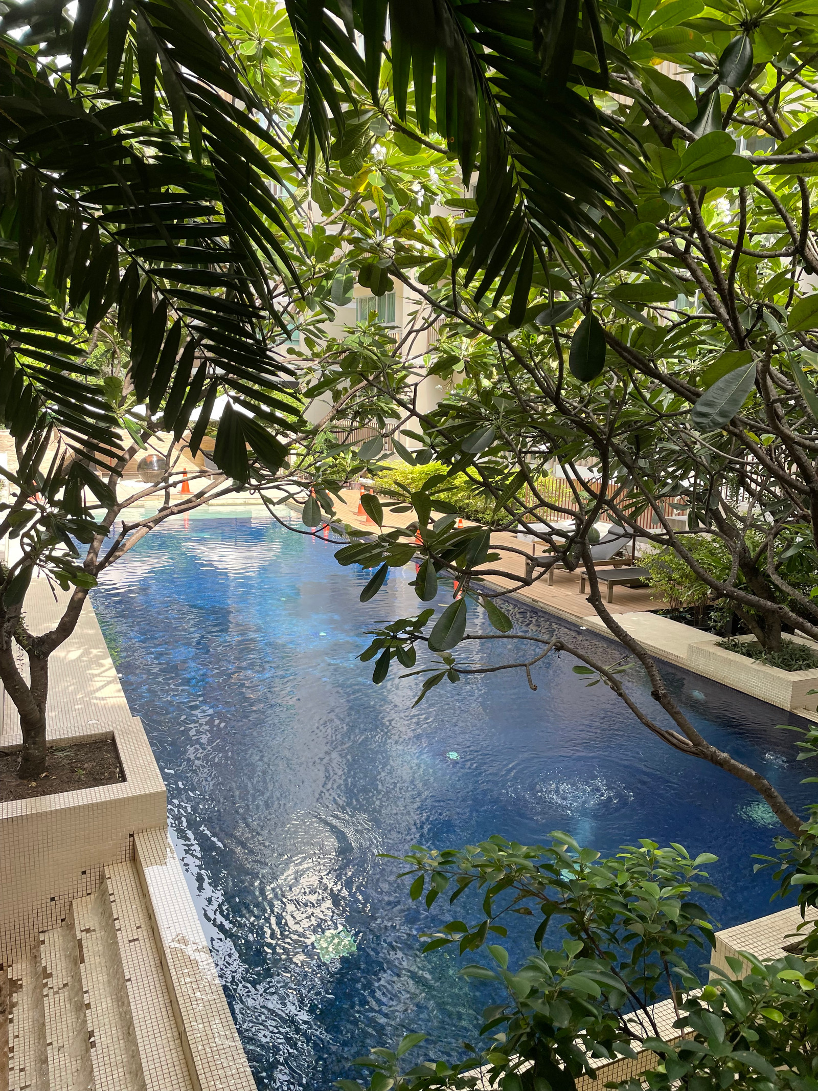 คอนโด สำหรับครอบครัว70ตรม กลางทองหล่อ 5.9ล. แค่ Nice big cosy 2b2b condo in middle of thonglor คอนโด สำหรับครอบครัว70ตรม กลางทองหล่อ 5.9ล. แค่ Nice big cosy 2b2b condo in middle of thonglor