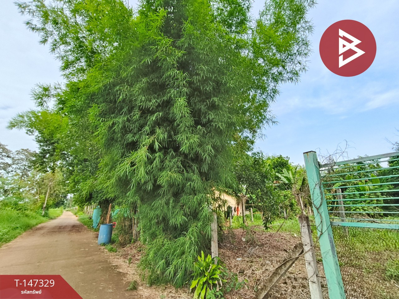 Empty land for sale, area 116.7 square meters, Tha Kasem, Sa Kaeo – รูปที่ 3