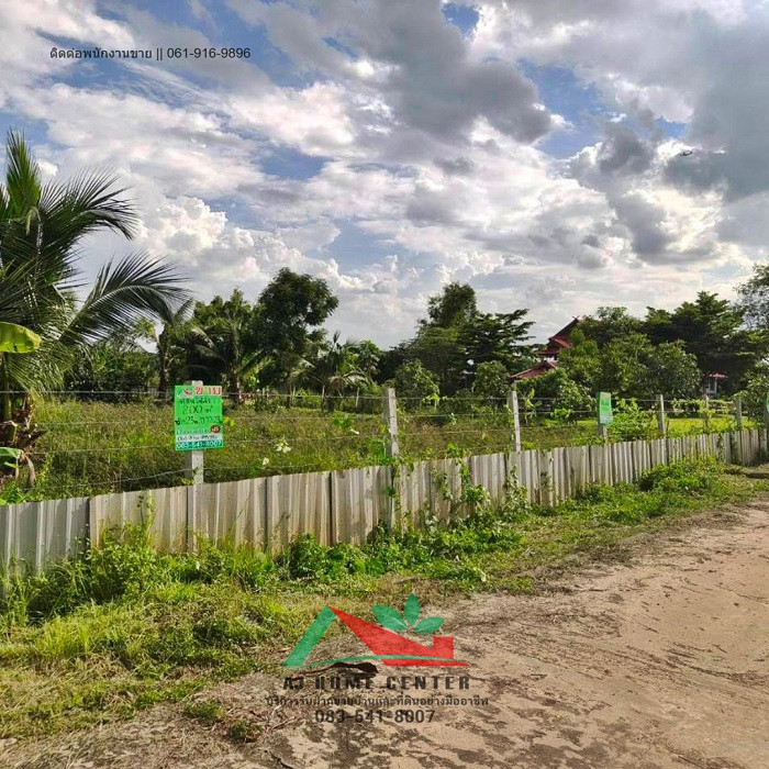 ขายถูก ที่ดินเปล่า200ตรว. ผังสีเขียว ซ.ลำลูกกา196 หนองจอก – รูปที่ 3