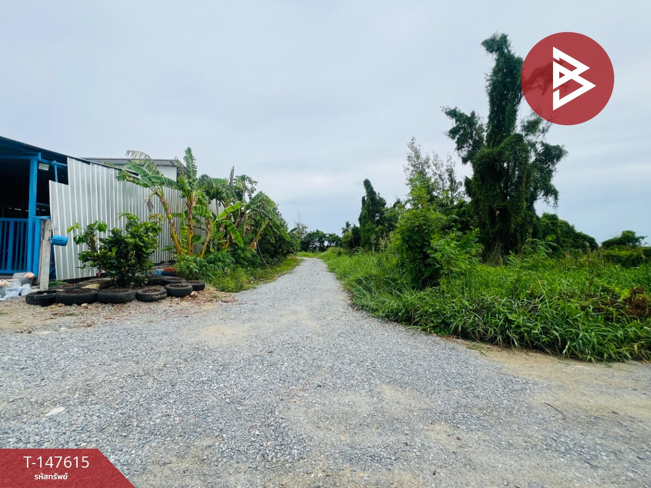 Land for sale, area 2 ngan 99 sq m, Phutthamonthon, Nakhon Pathom. Land for sale, area 2 ngan 99 sq m, Phutthamonthon, Nakhon Pathom.