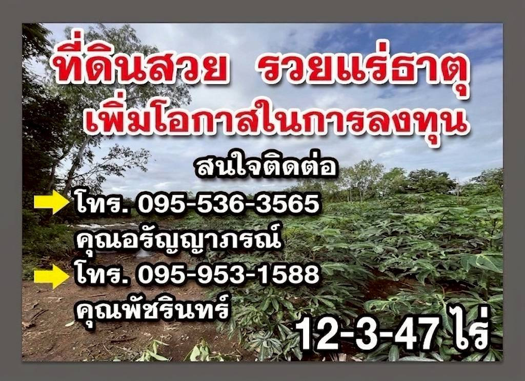  ​ขายที่ดิน 12 ไร่เศษ โฉนดครุฑแดง ติดถนน ใกล้ถนนเลี่ยงเมือง อรัญประเทศ สระแก้ว