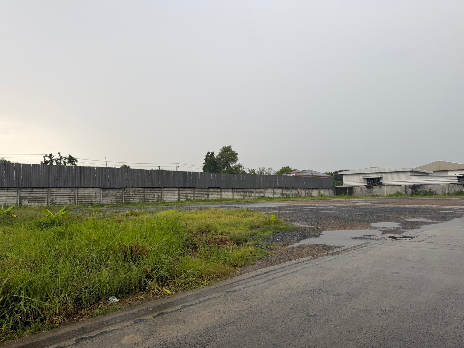 ให้เช่าที่ดินทำเลทอง ประชาร่วมใจ 59 คลองสามวา 400-800 ตร.ว. ติดถนนประชาร่วมใจ แปลงมุม ถนน 2 ด้าน ให้เช่าที่ดินทำเลทอง ประชาร่วมใจ 59 คลองสามวา 400-800 ตร.ว. ติดถนนประชาร่วมใจ แปลงมุม ถนน 2 ด้าน