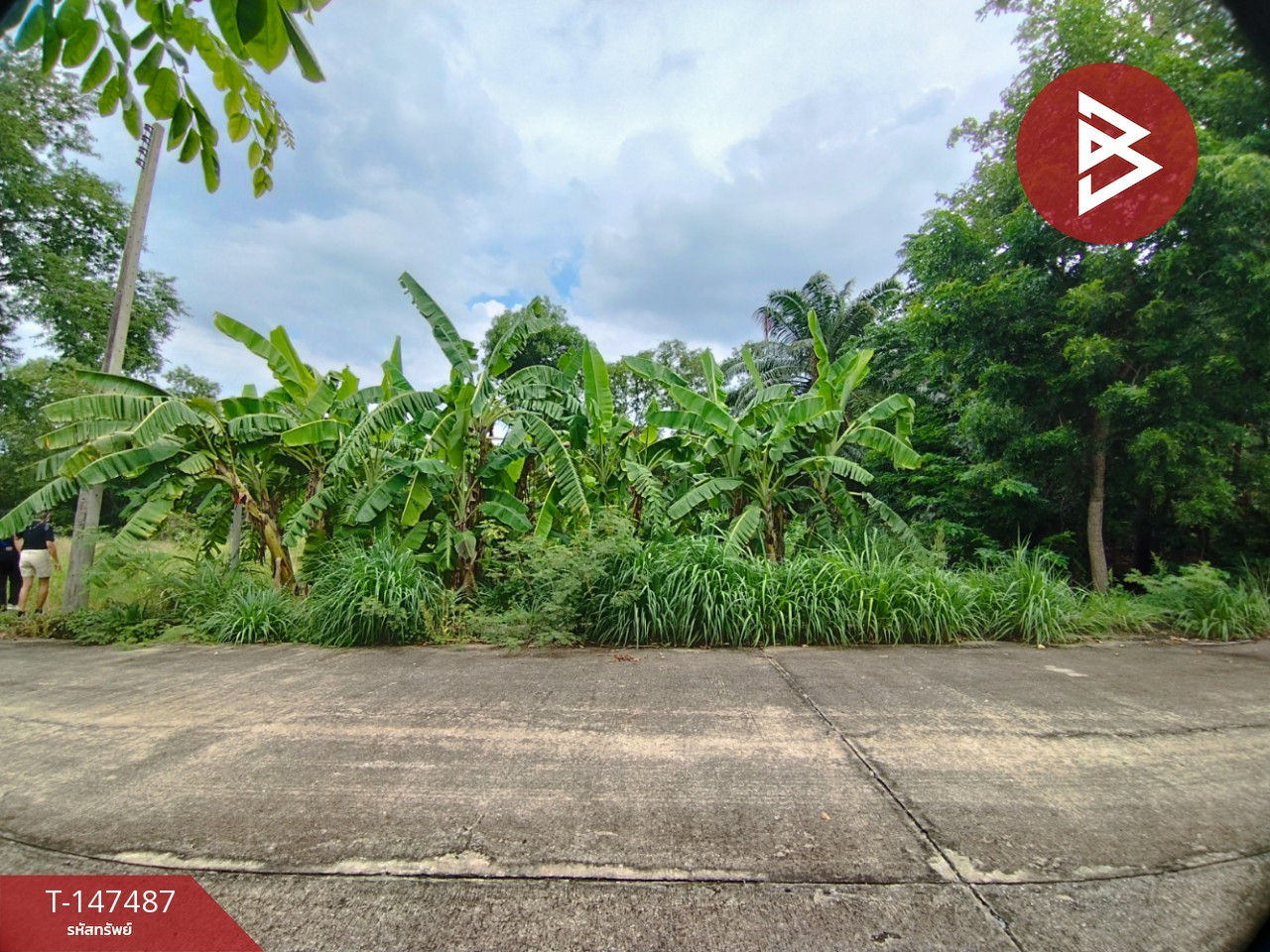 ขายที่ดิน เนื้อที่ 62.5 ตร.วา หนองเสือ ปทุมธานี – รูปที่ 4