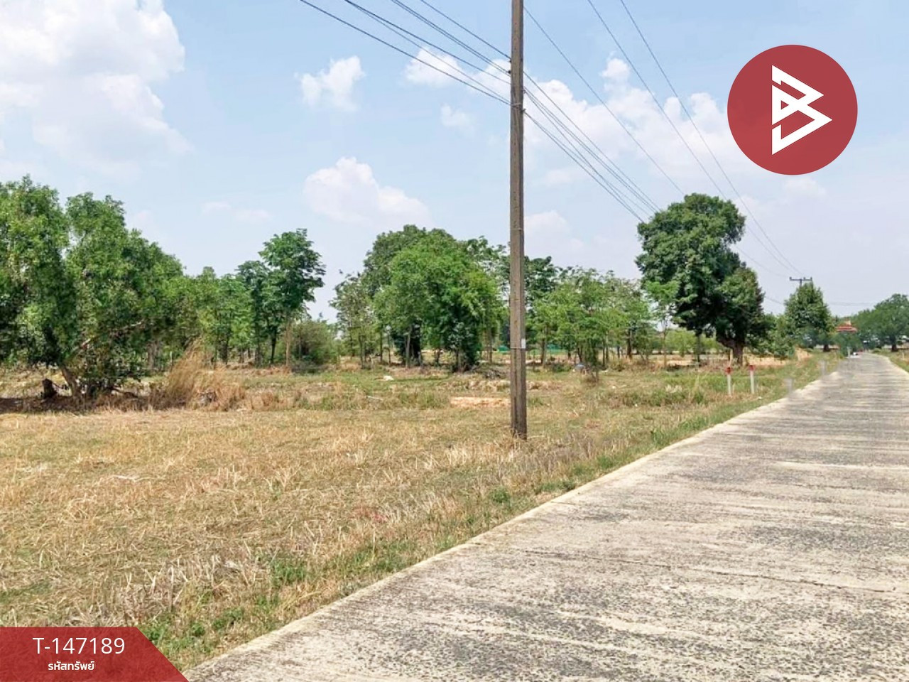 ขายที่ดิน เนื้อที่ 7 ไร่ 3 งาน 51 ตร.วา อุทุมพรพิสัย ศรีสะเกษ – รูปที่ 2