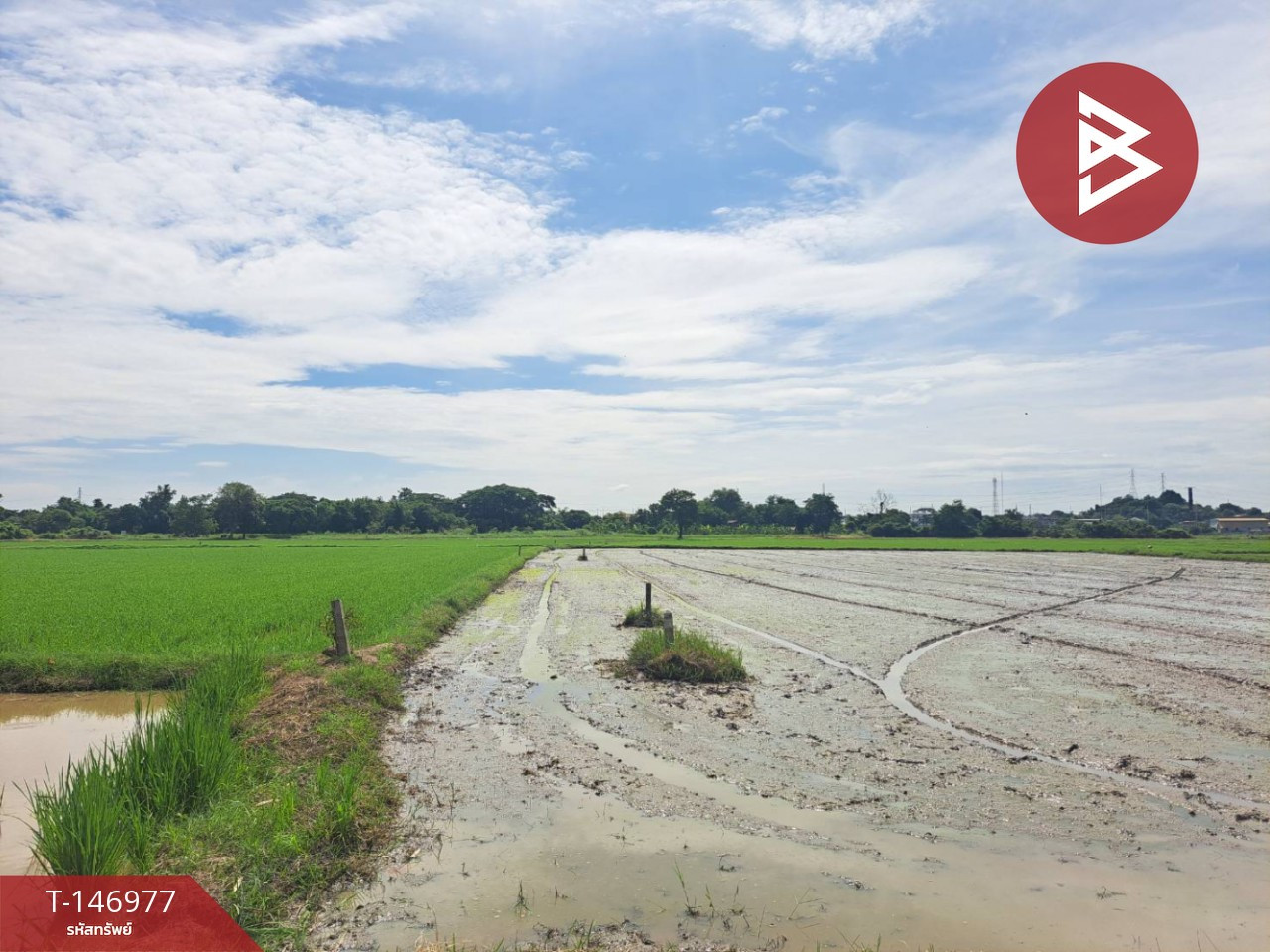 Large plot of vacant land for sale, 15 rai 1 ngan 92 square wah, Phayuha Khiri Subdistrict, Phayuha Khiri District, Nakhon Sawan. – รูปที่ 3