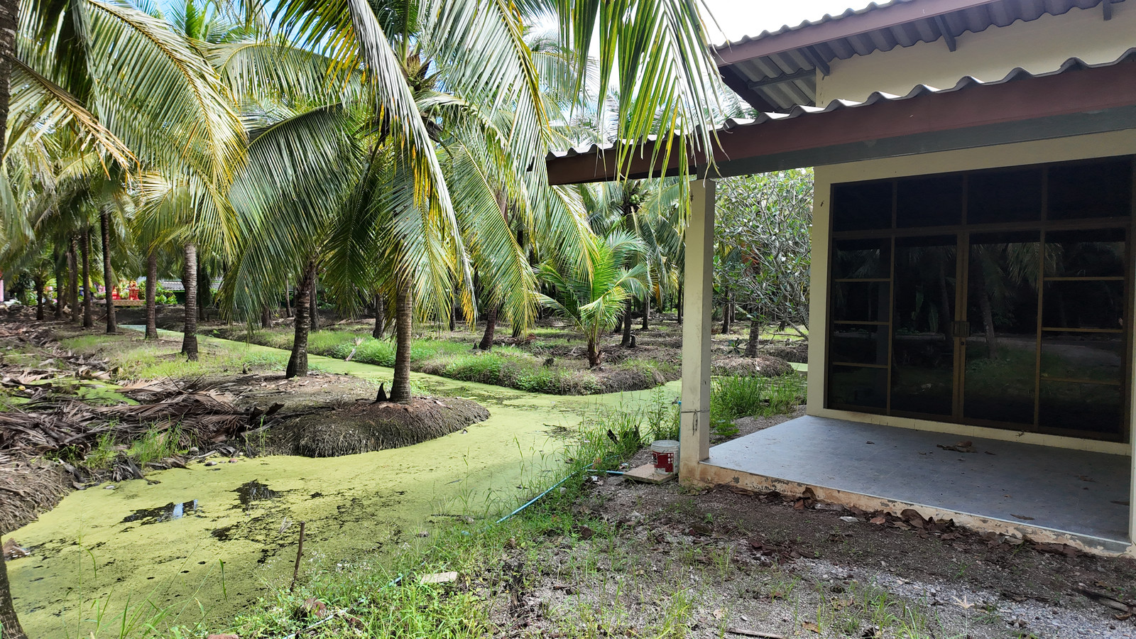PZ1488-Land for sale with 2 one-story houses, area 4 rai, land front next to Ruamjai Phatthana Road, only 750 meters from Ror. 5048 Road, Don Phai Subdistrict, Damnoen Saduak District.  Ratchaburi Province – รูปที่ 3