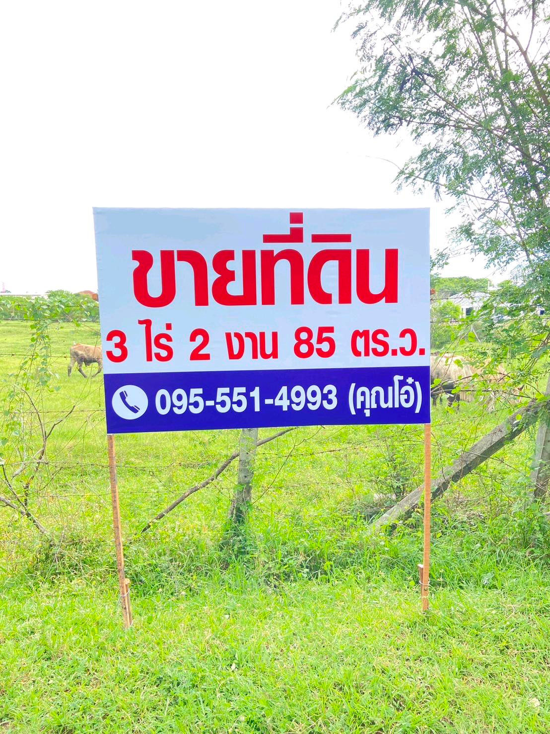 ขายที่ดินทำเลดีใจกลางโคราช – รูปที่ 4