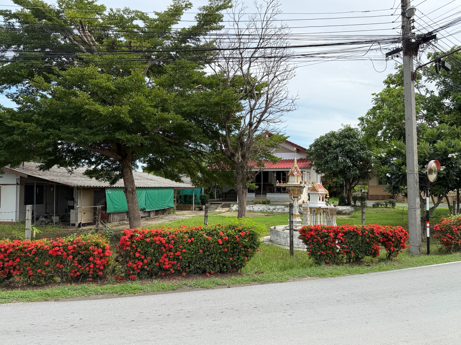 ขายบ้านสวนพร้อมที่ดิน 1ไร่ 26 ตร.ว.นครปฐม ดอนตูม – รูปที่ 4