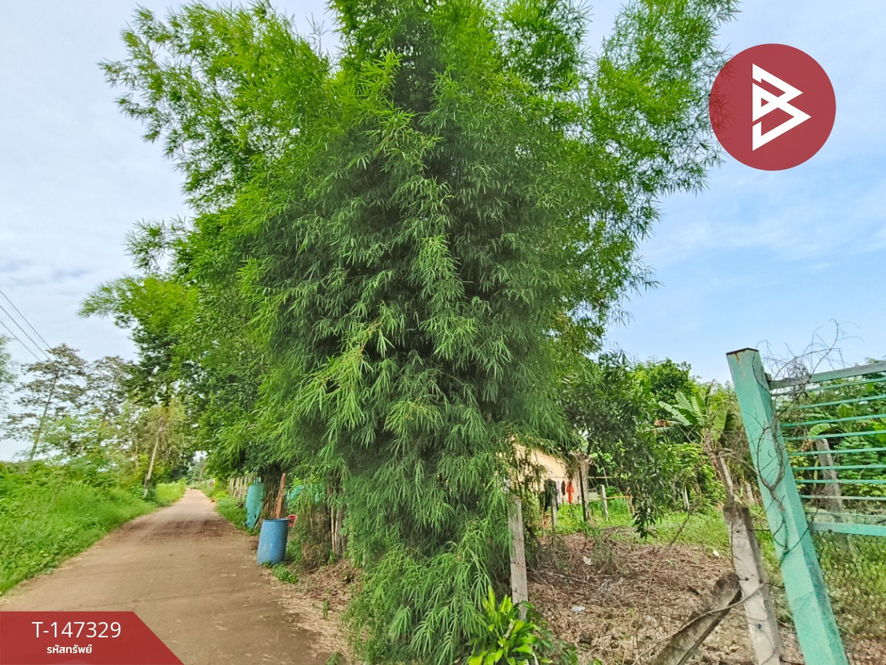 Empty land for sale, area 116.7 square meters, Tha Kasem, Sa Kaeo – รูปที่ 4