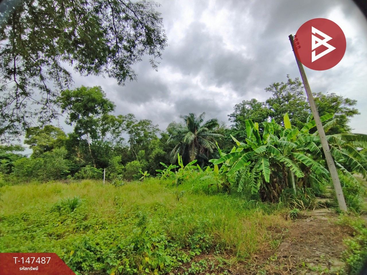 ขายที่ดิน เนื้อที่ 62.5 ตร.วา หนองเสือ ปทุมธานี – รูปที่ 3