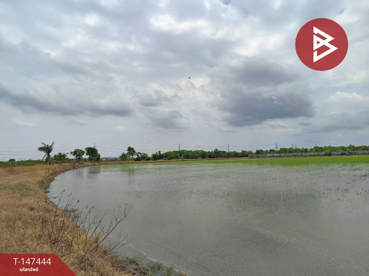 ขายที่ดิน เนื้อที่ 2 งาน 61 ตร.วา หนองจอก กรุงเทพมหานคร – รูปที่ 2