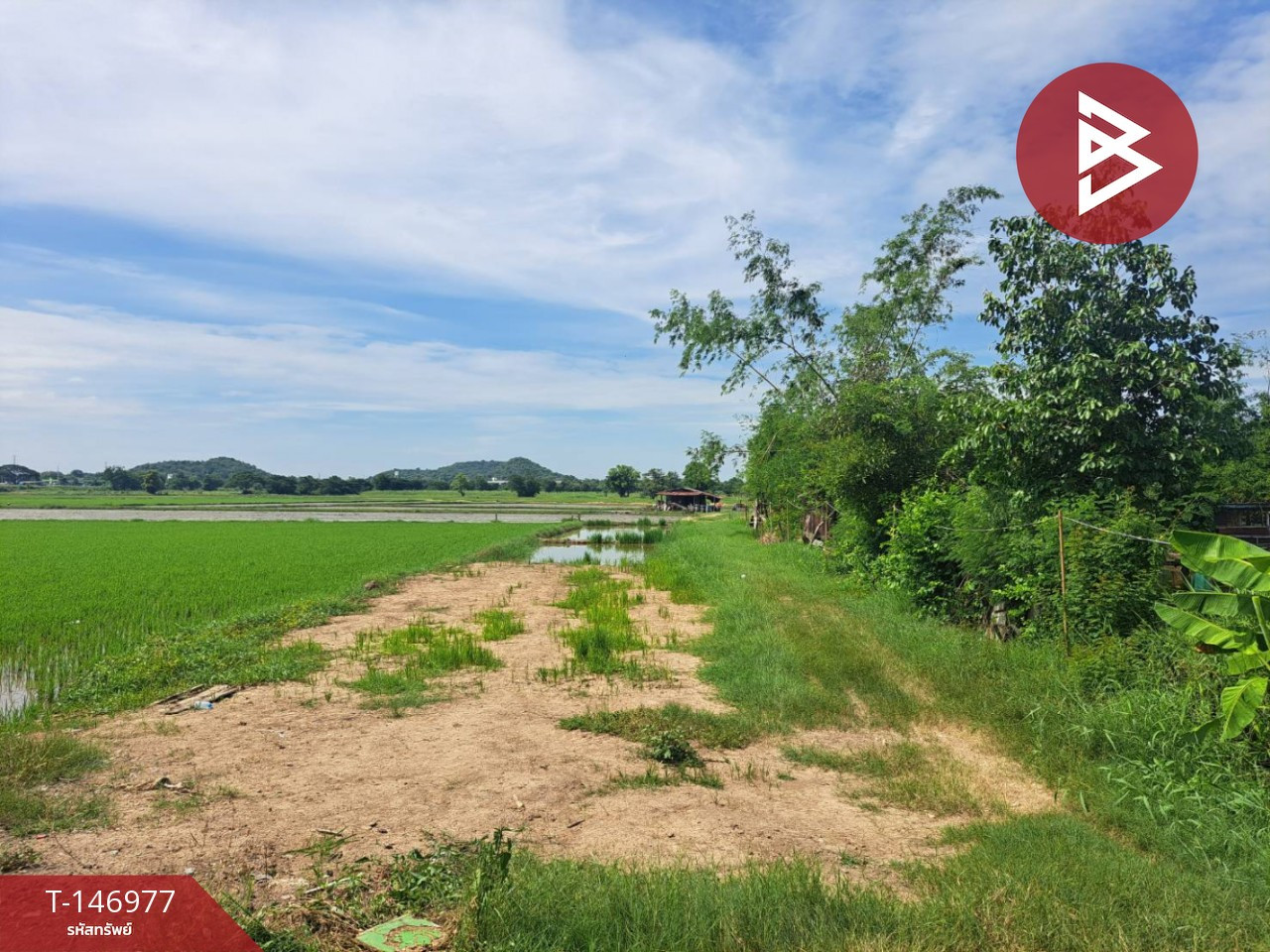 Large plot of vacant land for sale, 15 rai 1 ngan 92 square wah, Phayuha Khiri Subdistrict, Phayuha Khiri District, Nakhon Sawan. – รูปที่ 2