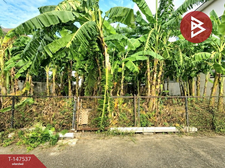 ขายที่ดิน เนื้อที่ 83.1 ตร.วา ปากเกร็ด นนทบุรี – รูปที่ 2