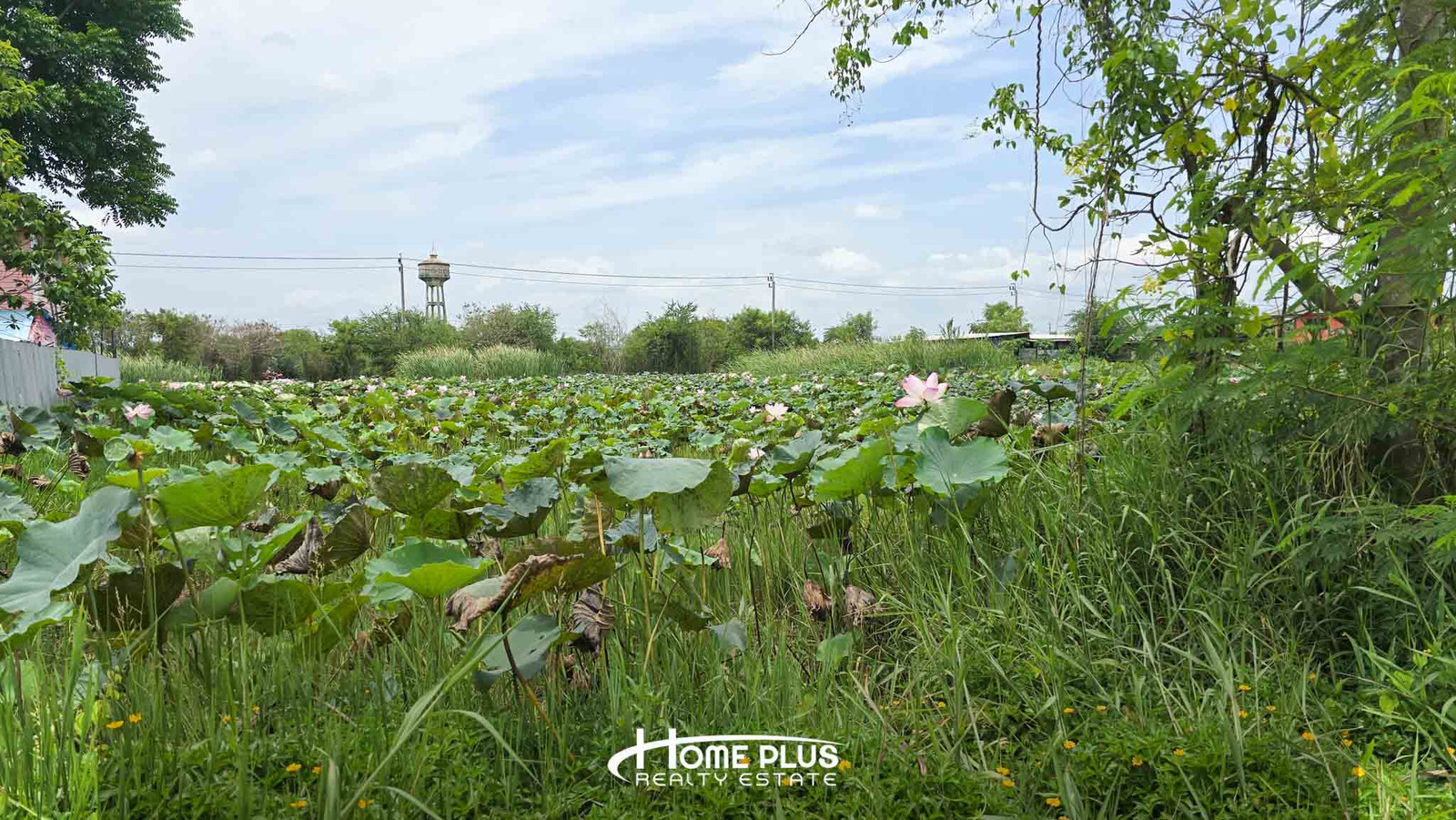 ขายที่ดินเปล่าใน หมู่บ้านเคหะการเกษตร 37 ไทรน้อย – รูปที่ 4