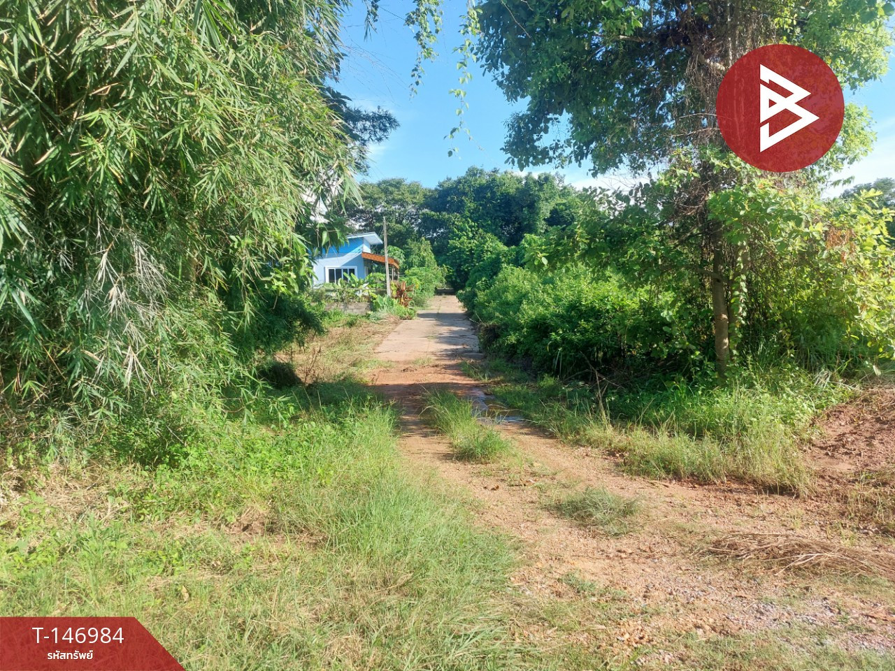 ขายที่ดินในชุมชน 1 งาน 92.7 ตร.วา โพนพิสัย หนองคาย – รูปที่ 3