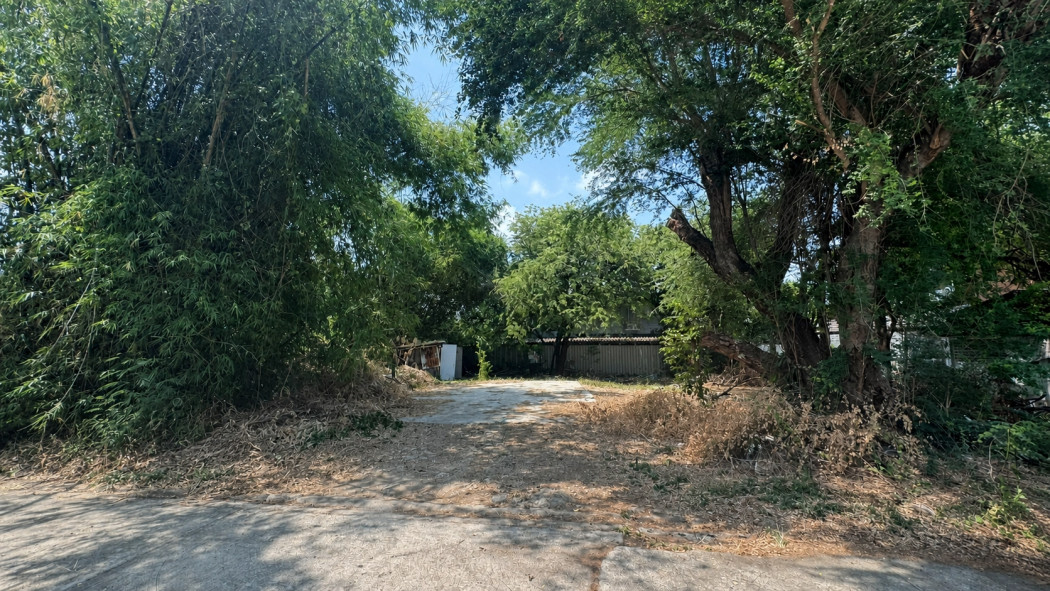 Land for sale in Ladprao 71, Sangkomsongkro 16, size 1 rai 51 square wa. Convenient transportation. Land for sale in Ladprao 71, Sangkomsongkro 16, size 1 rai 51 square wa. Convenient transportation.