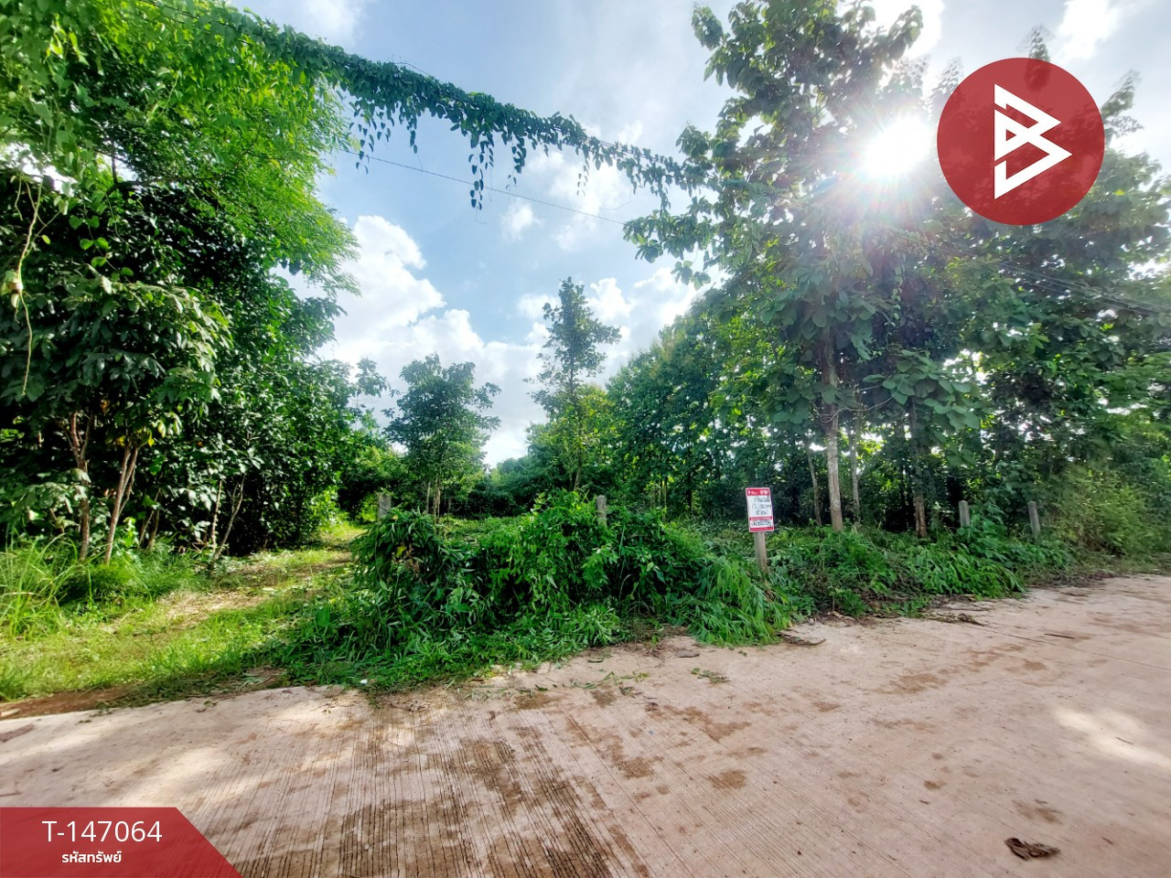 ขายที่ดิน เนื้อที่ 1 ไร่ 1 งาน 21 ตร.วา โพนพิสัย หนองคาย – รูปที่ 4
