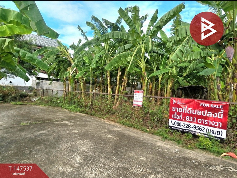 ขายที่ดิน เนื้อที่ 83.1 ตร.วา ปากเกร็ด นนทบุรี ขายที่ดิน เนื้อที่ 83.1 ตร.วา ปากเกร็ด นนทบุรี