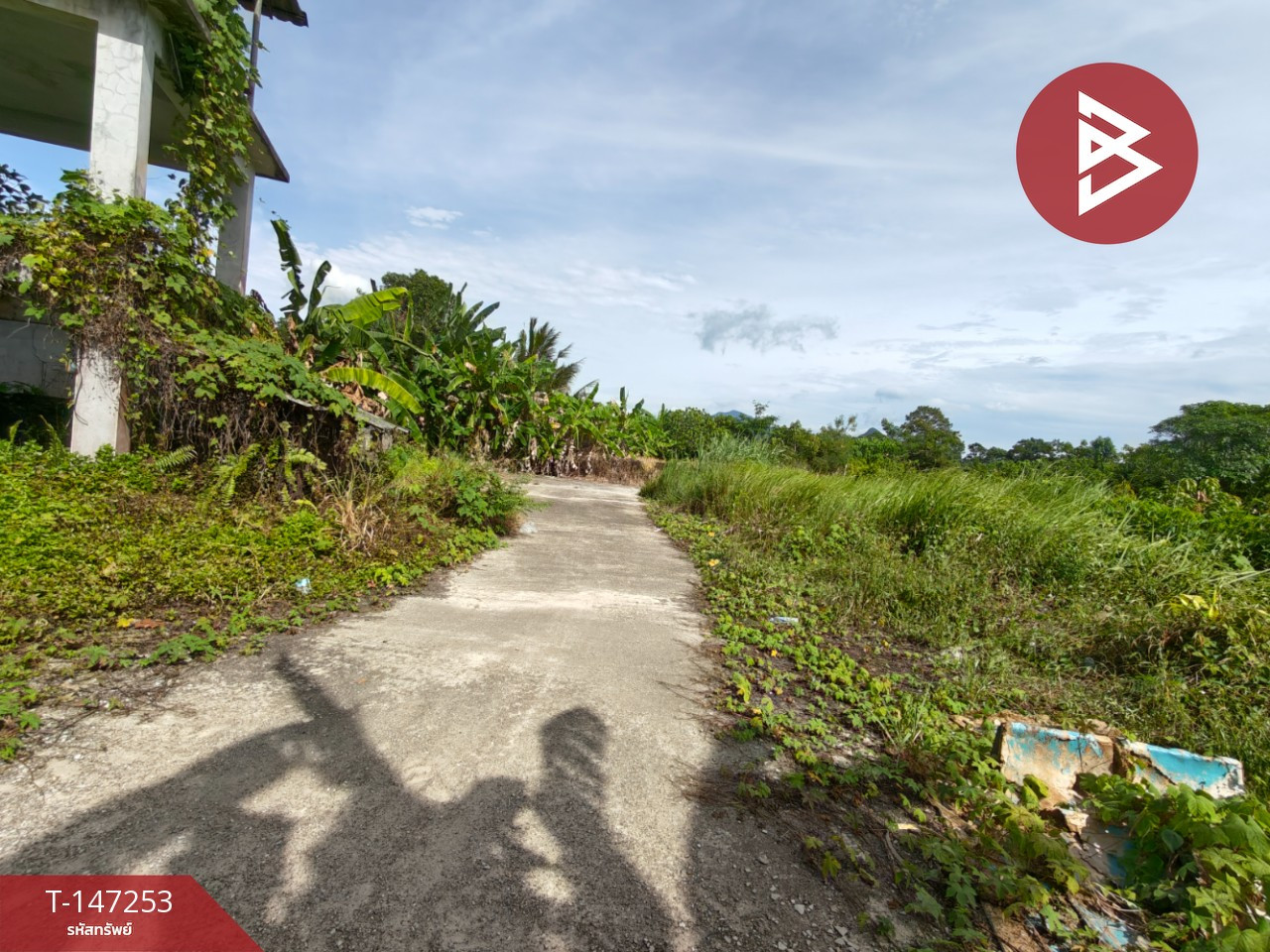 ขายที่ดิน เนื้อที่ 45.3 ตร.วา โพธิ์เสด็จ นครศรีธรรมราช – รูปที่ 4
