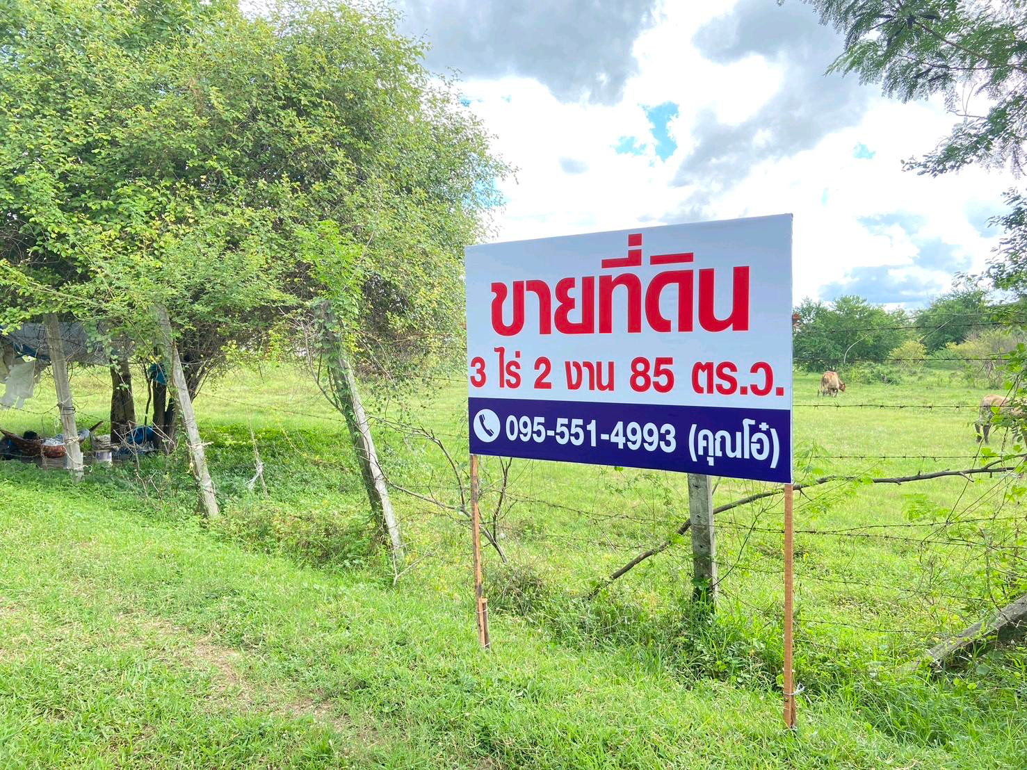 ขายที่ดินทำเลดีใจกลางโคราช – รูปที่ 2
