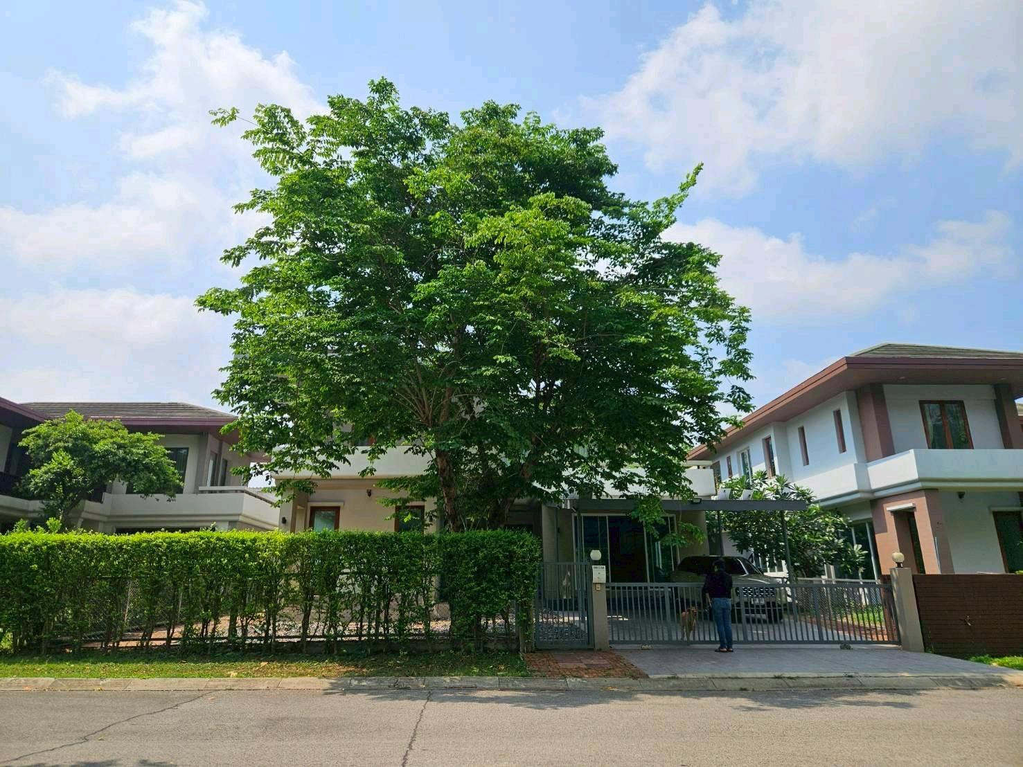 ขายบ้านเดี่ยวในหมู่บ้านหรู 2ชั้น 6นอน 5น้ำ 2จอด – รูปที่ 3