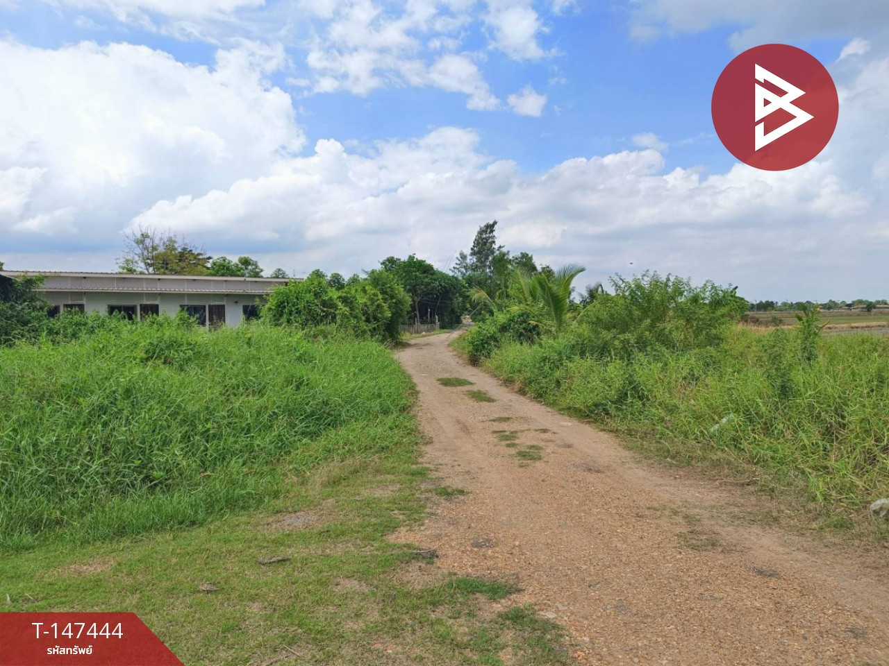 ขายที่ดิน เนื้อที่ 2 งาน 61 ตร.วา หนองจอก กรุงเทพมหานคร – รูปที่ 4
