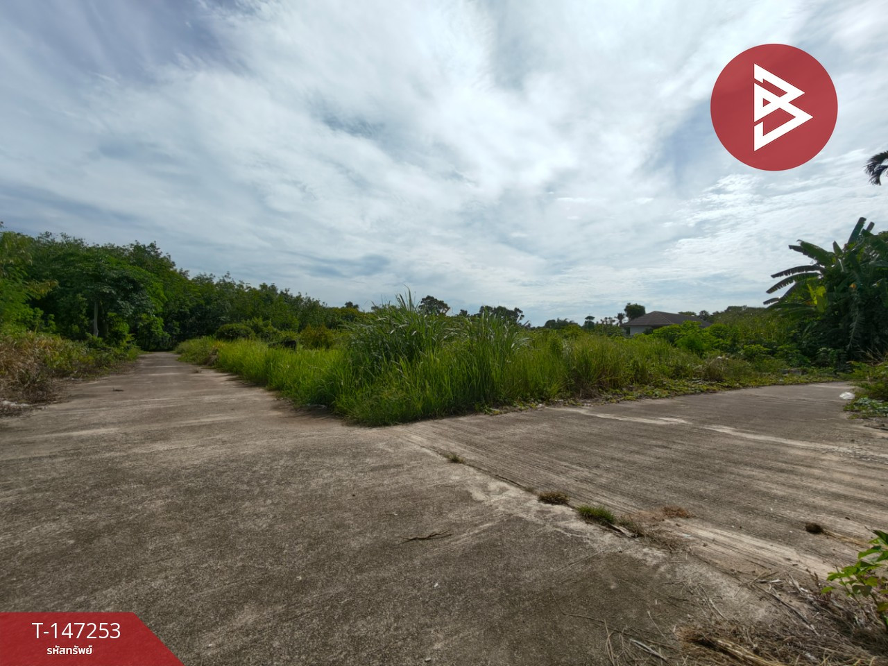 ขายที่ดิน เนื้อที่ 45.3 ตร.วา โพธิ์เสด็จ นครศรีธรรมราช – รูปที่ 2
