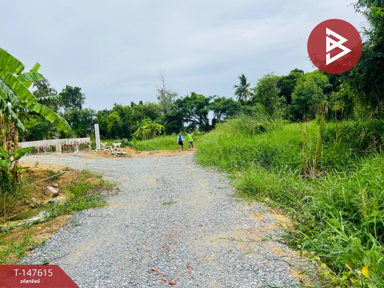 ขายที่ดิน เนื้อที่ 2 งาน 99 ตร.วา พุทธมณฑล นครปฐม – รูปที่ 2