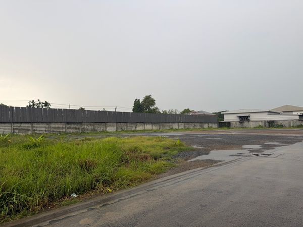 ให้เช่าที่ดินทำเลทอง ประชาร่วมใจ 59 คลองสามวา 400-800 ตร.ว. ติดถนนประชาร่วมใจ แปลงมุม ถนน 2 ด้าน