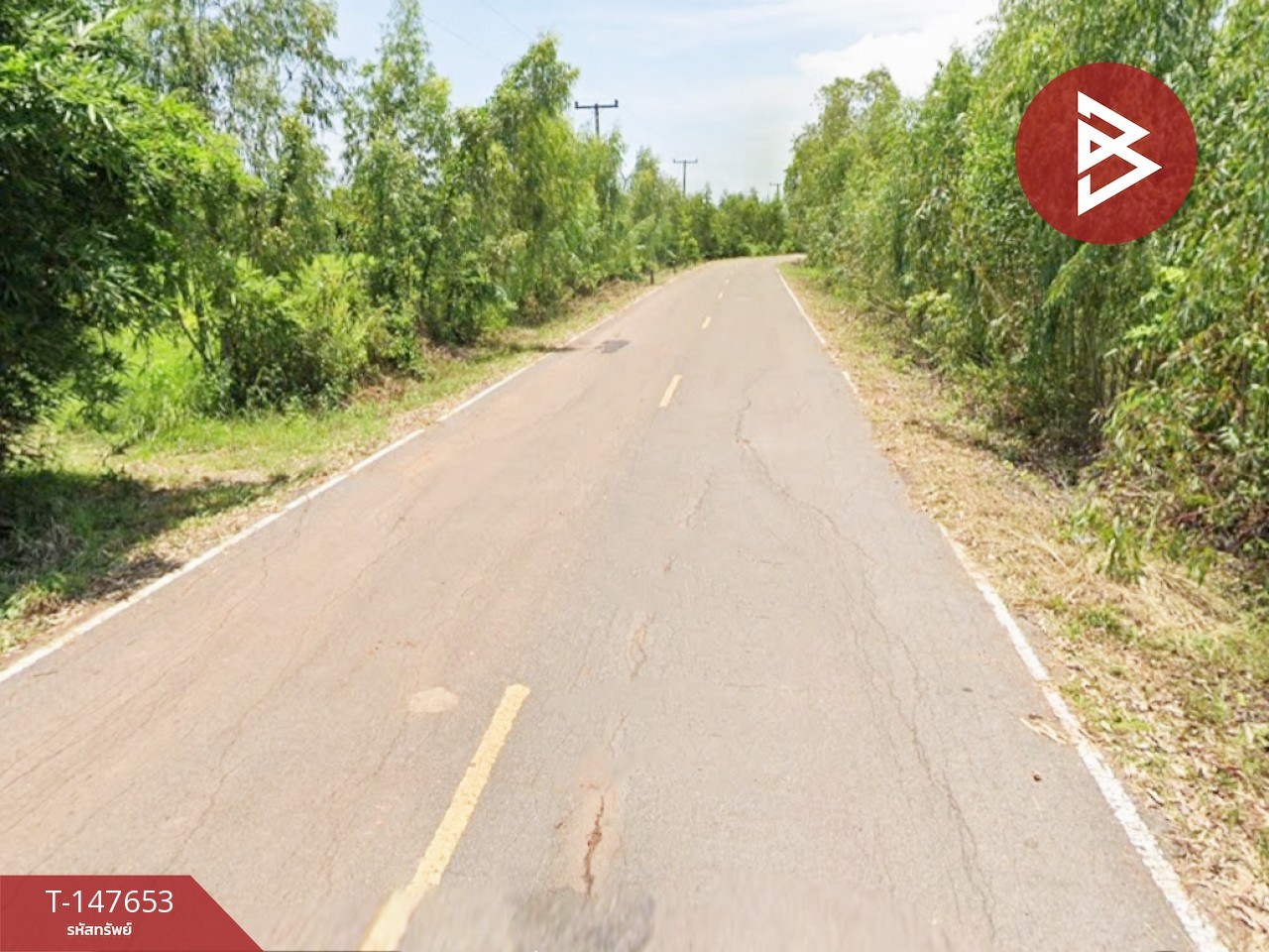 ขายที่ดิน เนื้อที่ 13 ไร่ 20 ตร.วา เพ็ญ อุดรธานี – รูปที่ 3