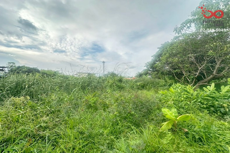 ขายที่ดิน 43 ตร.ว. ซอยไทรม้า 8 ท่าอิฐ ปากเกร็ด นนทบุรี – รูปที่ 2
