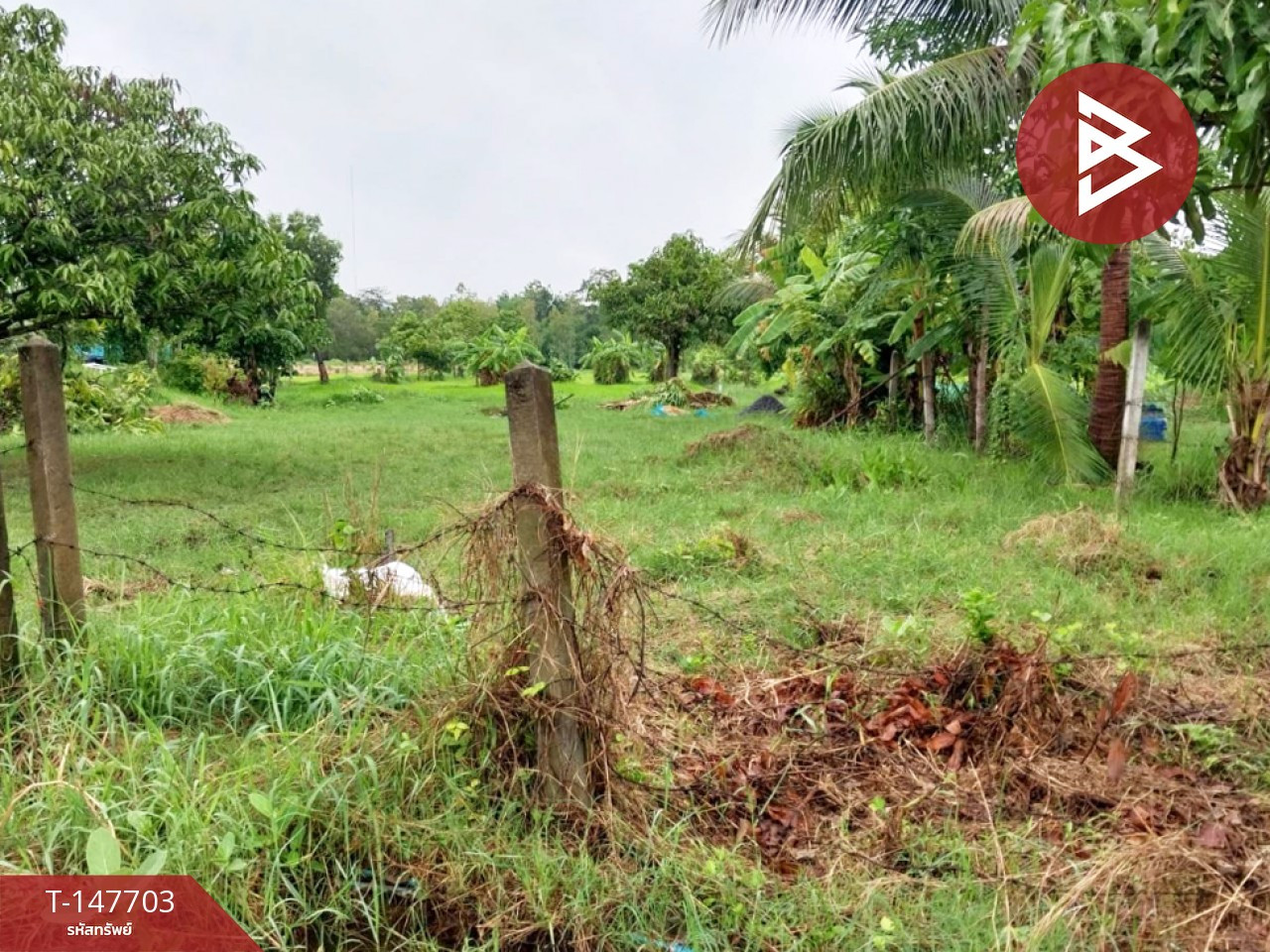 Land for sale, area 3 rai, Kaeng Loeng Chan, Maha Sarakham, next to the road. – รูปที่ 3