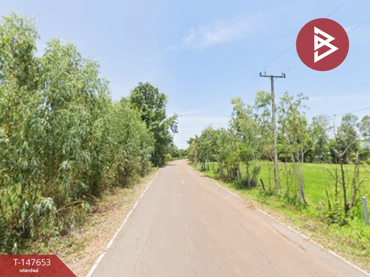 ขายที่ดิน เนื้อที่ 13 ไร่ 20 ตร.วา เพ็ญ อุดรธานี – รูปที่ 4