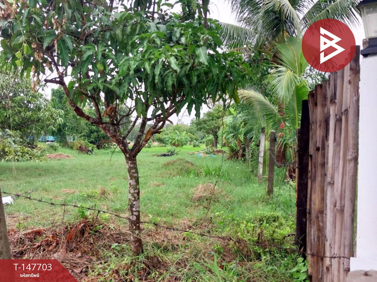 Land for sale, area 3 rai, Kaeng Loeng Chan, Maha Sarakham, next to the road. – รูปที่ 4