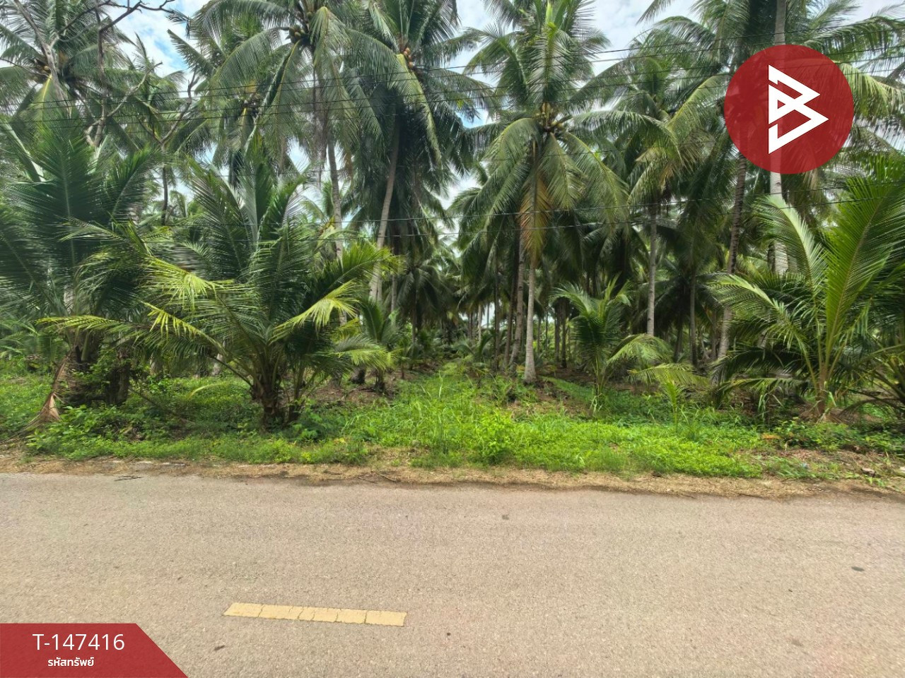ขายที่ดิน เนื้อที่ 1 ไร่ 36 ตร.วา อัมพวา สมุทรสาคร – รูปที่ 3