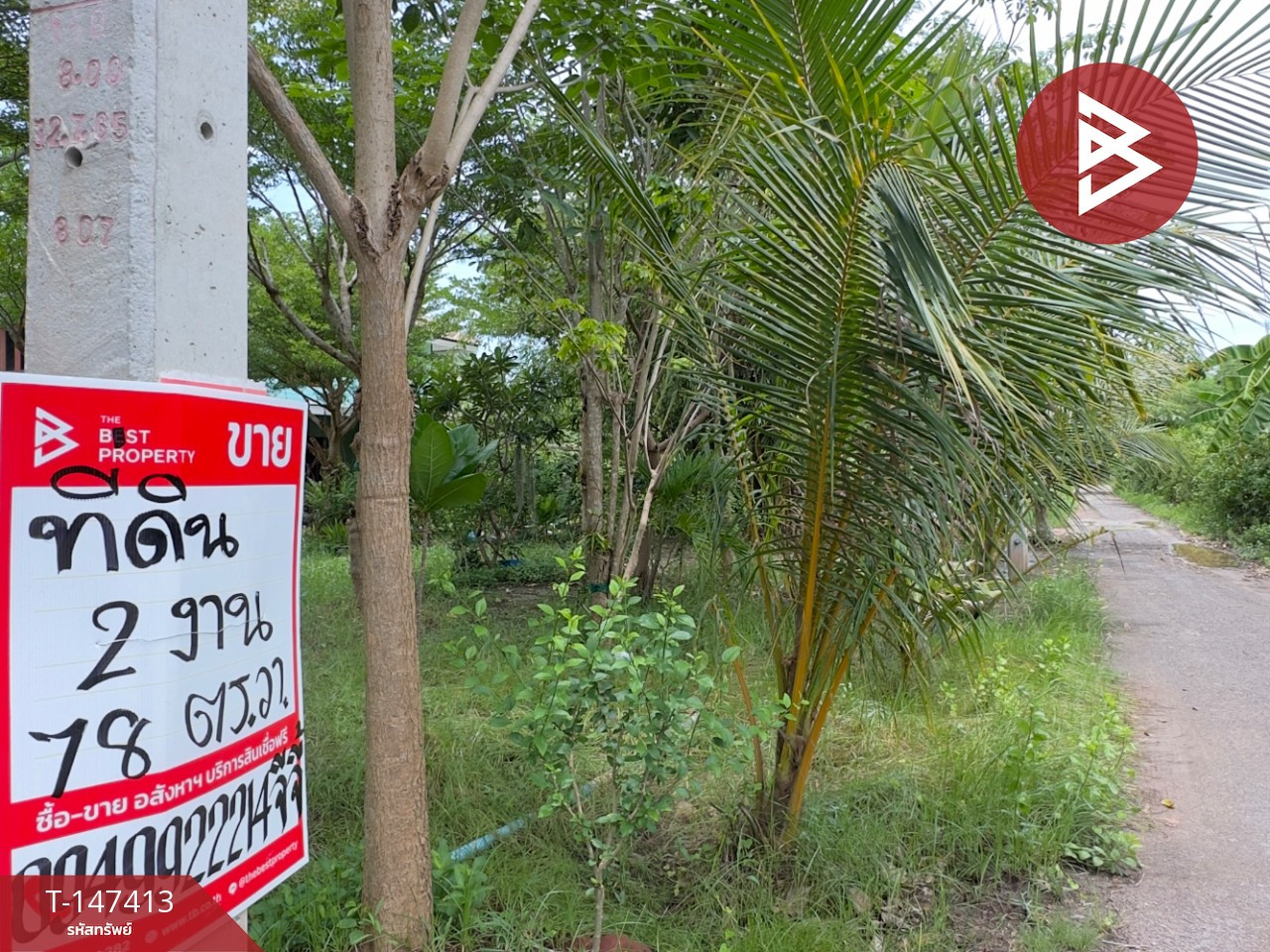 ขายที่ดิน เนื้อที่ 2 งาน 78 ตร.วา ลาดใหญ่ สมุทรสงคราม – รูปที่ 2