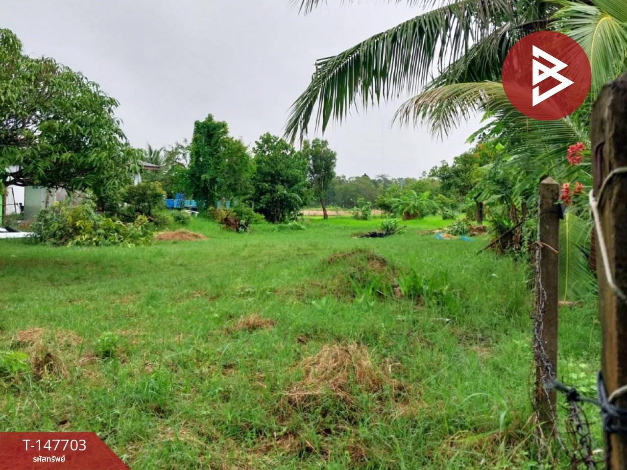 Land for sale, area 3 rai, Kaeng Loeng Chan, Maha Sarakham, next to the road. – รูปที่ 2