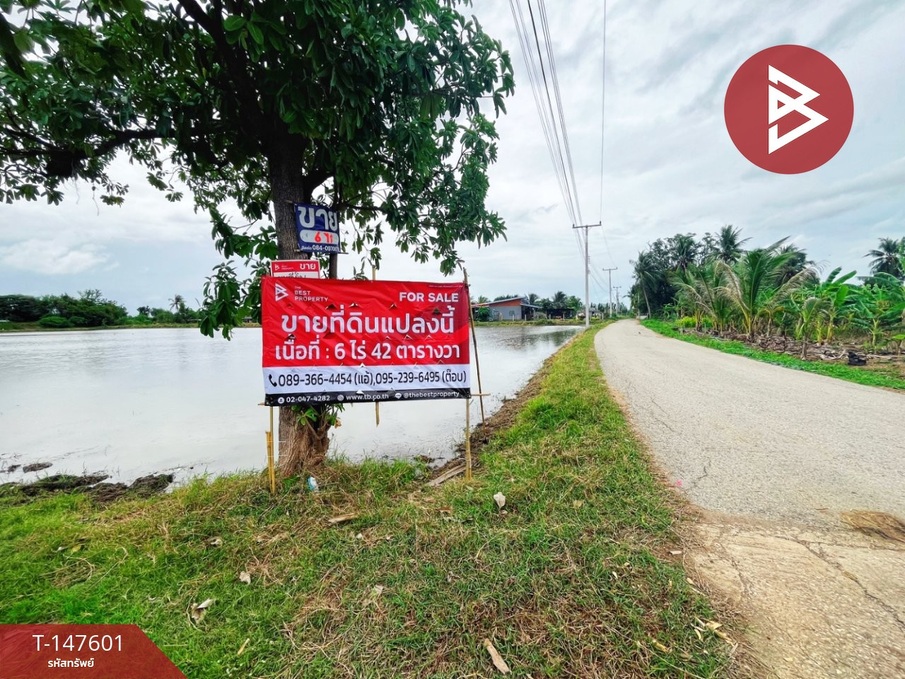 ขายที่ดิน เนื้อที่ 6 ไร่ 42 ตร.วา ท่ามะกา กาญจนบุรี – รูปที่ 2