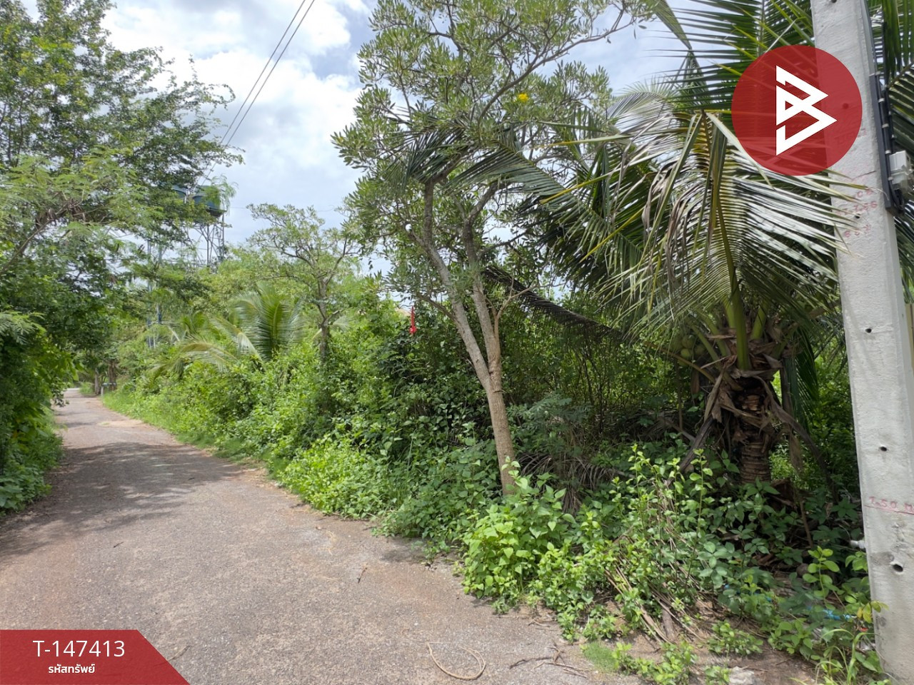 ขายที่ดิน เนื้อที่ 2 งาน 78 ตร.วา ลาดใหญ่ สมุทรสงคราม – รูปที่ 4