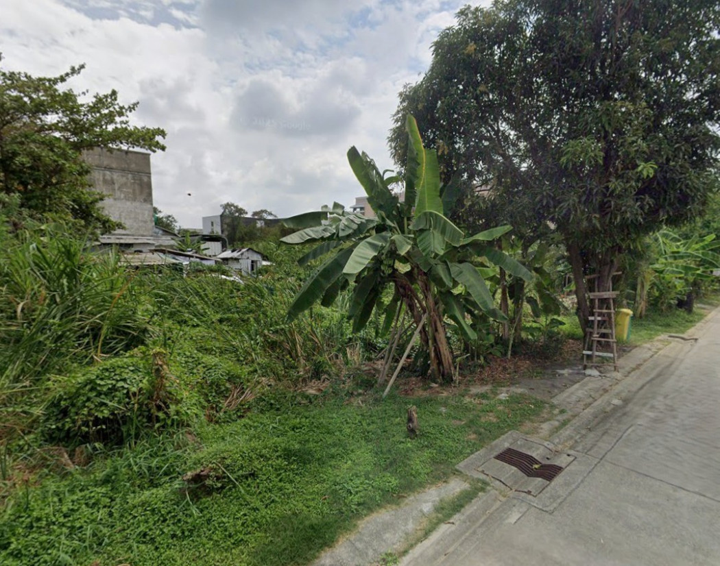 ขายที่ดิน เนื้อที่ 212 ตร.ว. ซอยนาคนิวาส 48 แยก 16 ใกล้ เซ็นทรัล อีสต์วิลล์ – รูปที่ 2